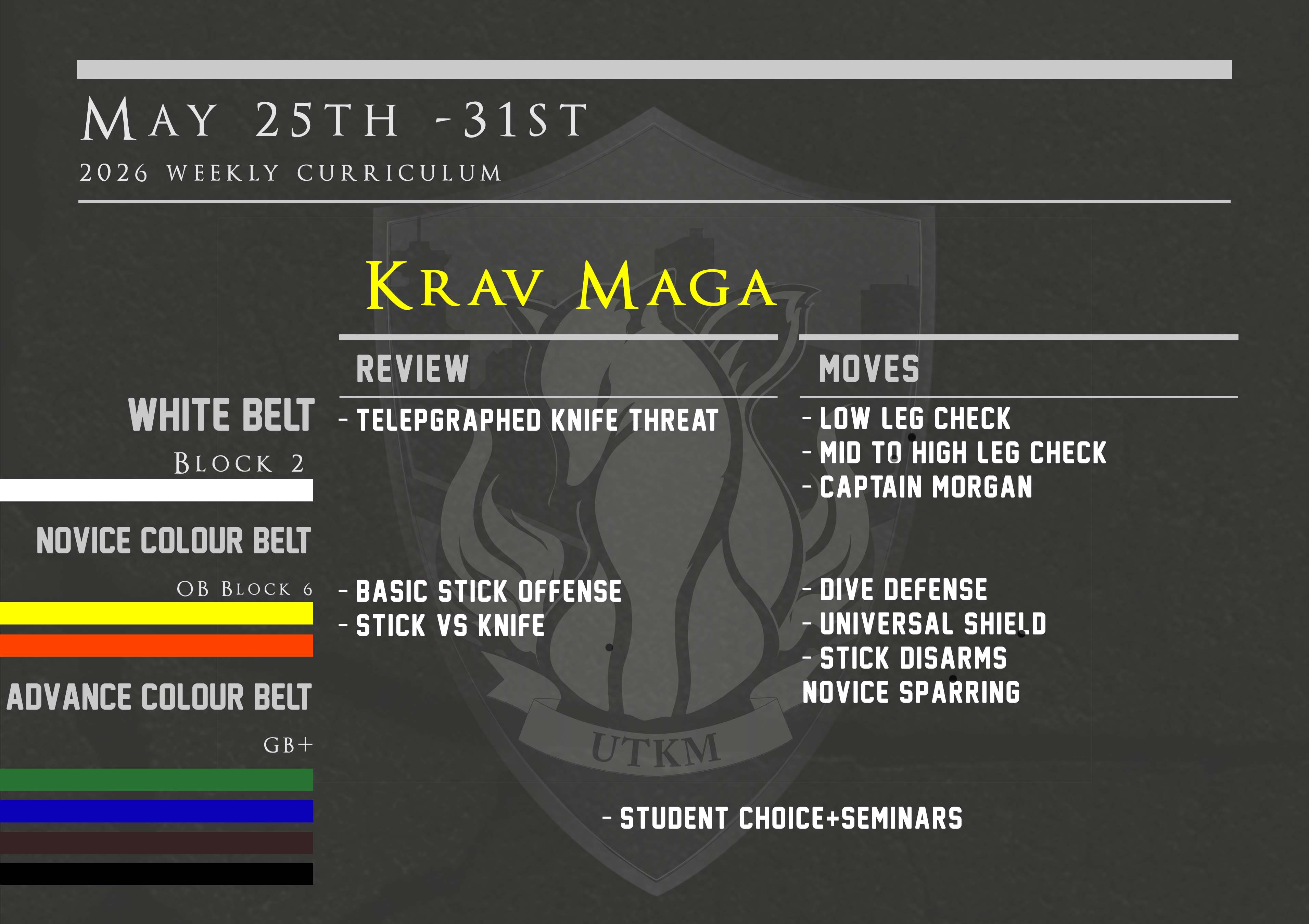This week’s Krav Maga curriculum: May 25th – 31st
