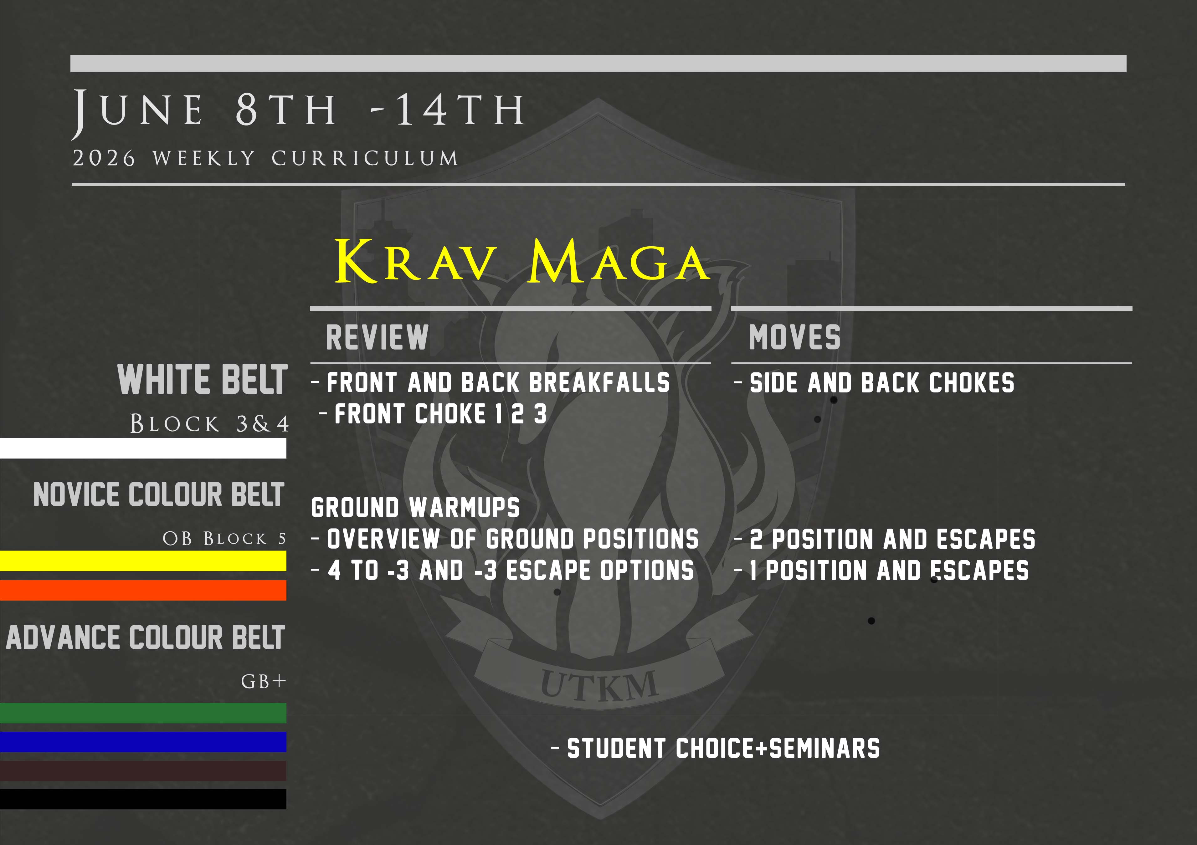 This week’s Krav Maga curriculum: June 8th – 14th