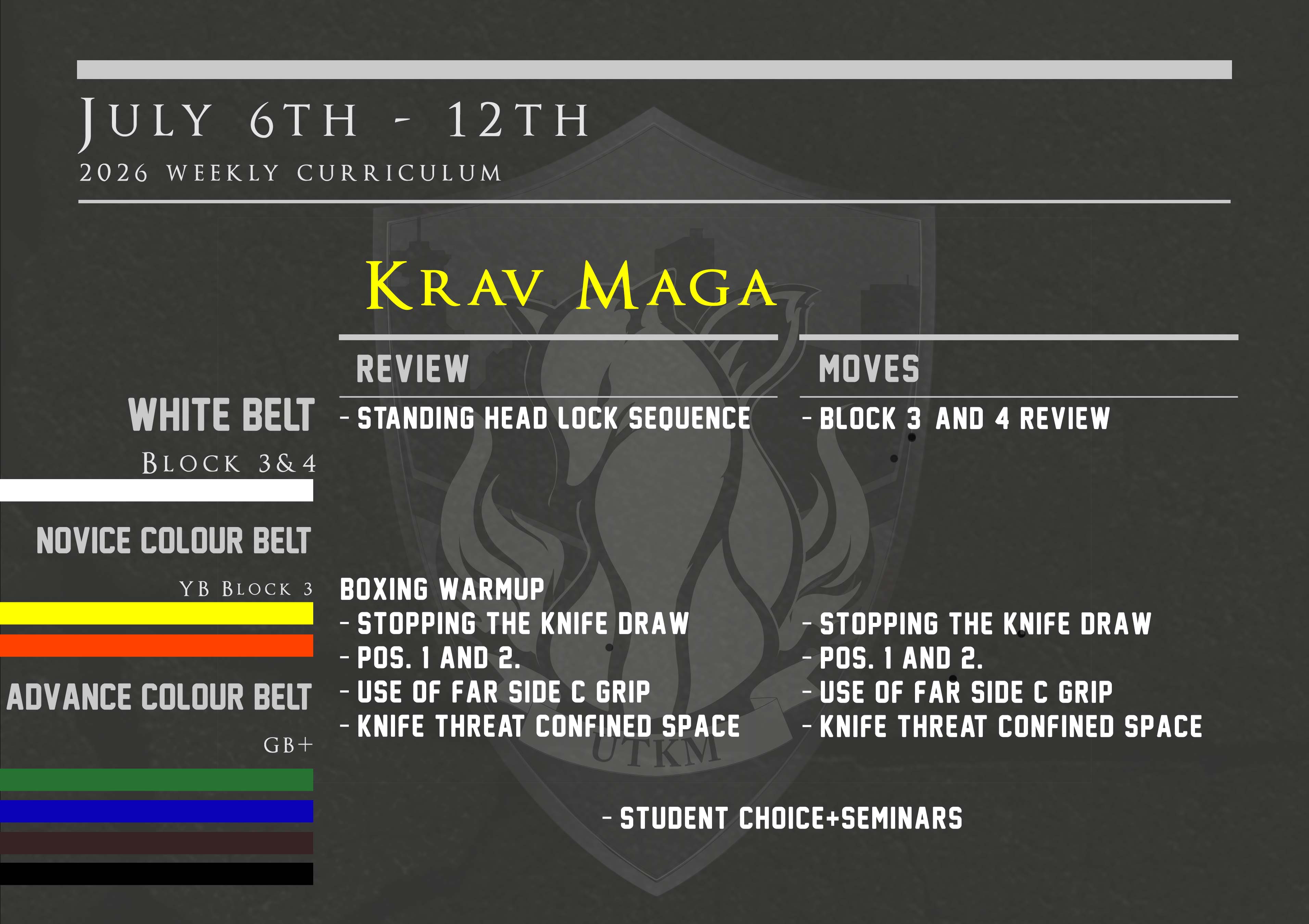 This week’s Krav Maga curriculum: July 6th – 12th