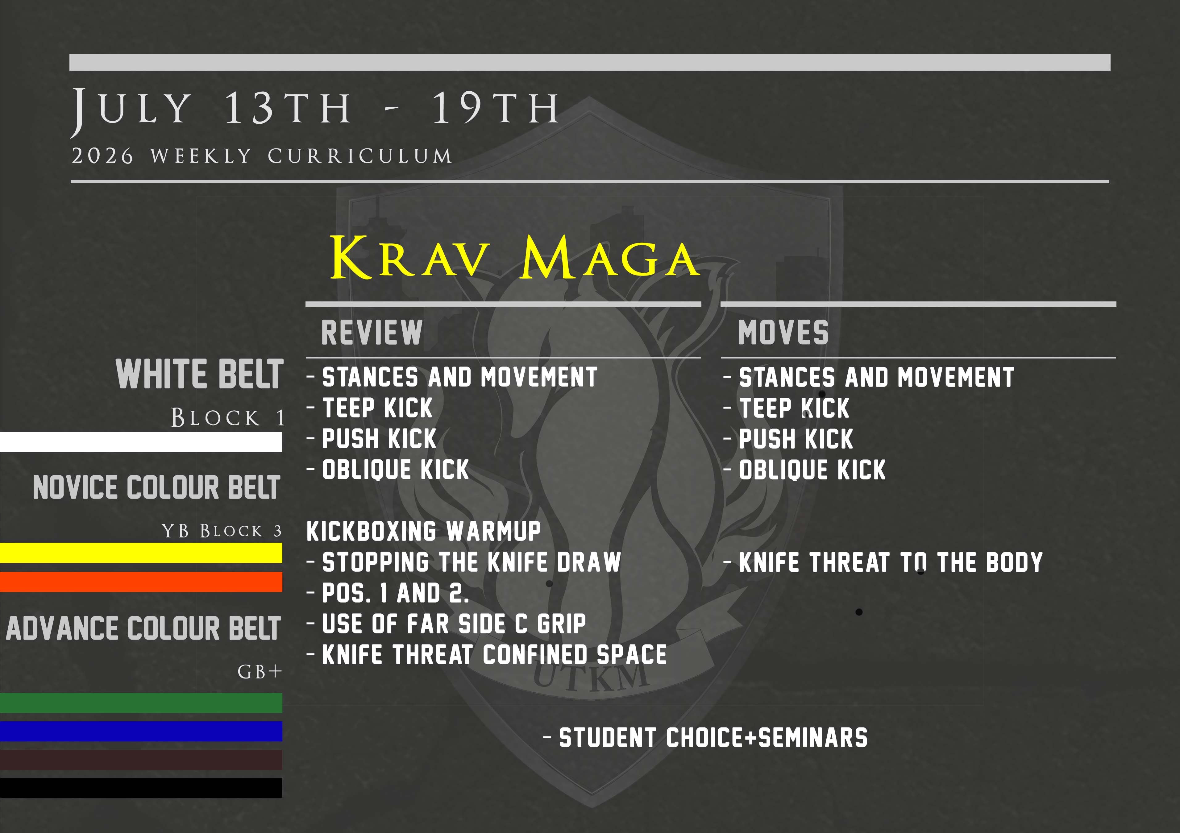 This week’s Krav Maga curriculum: July 13th – 19th