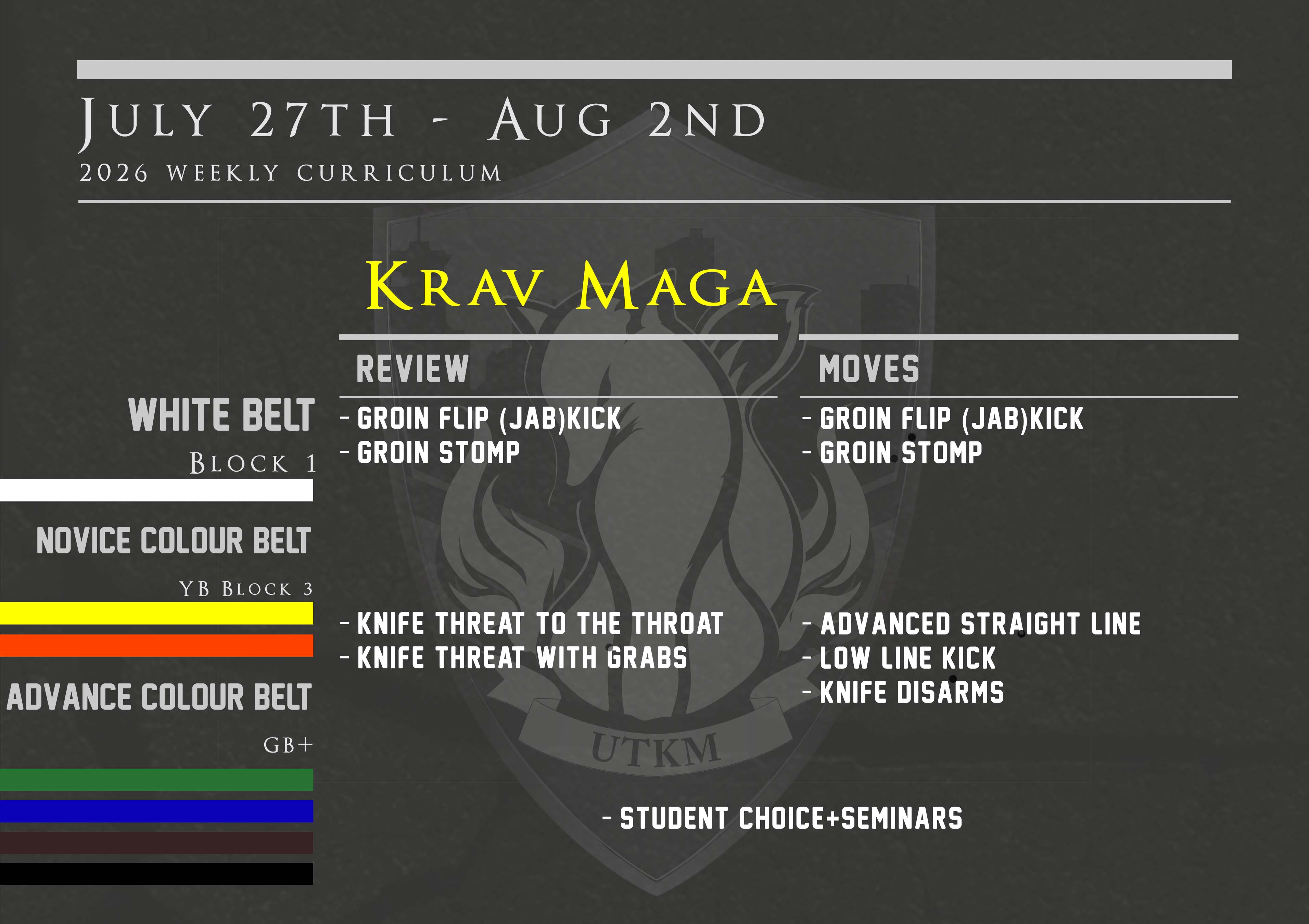 This week’s Krav Maga curriculum: July 27th – Aug 2nd