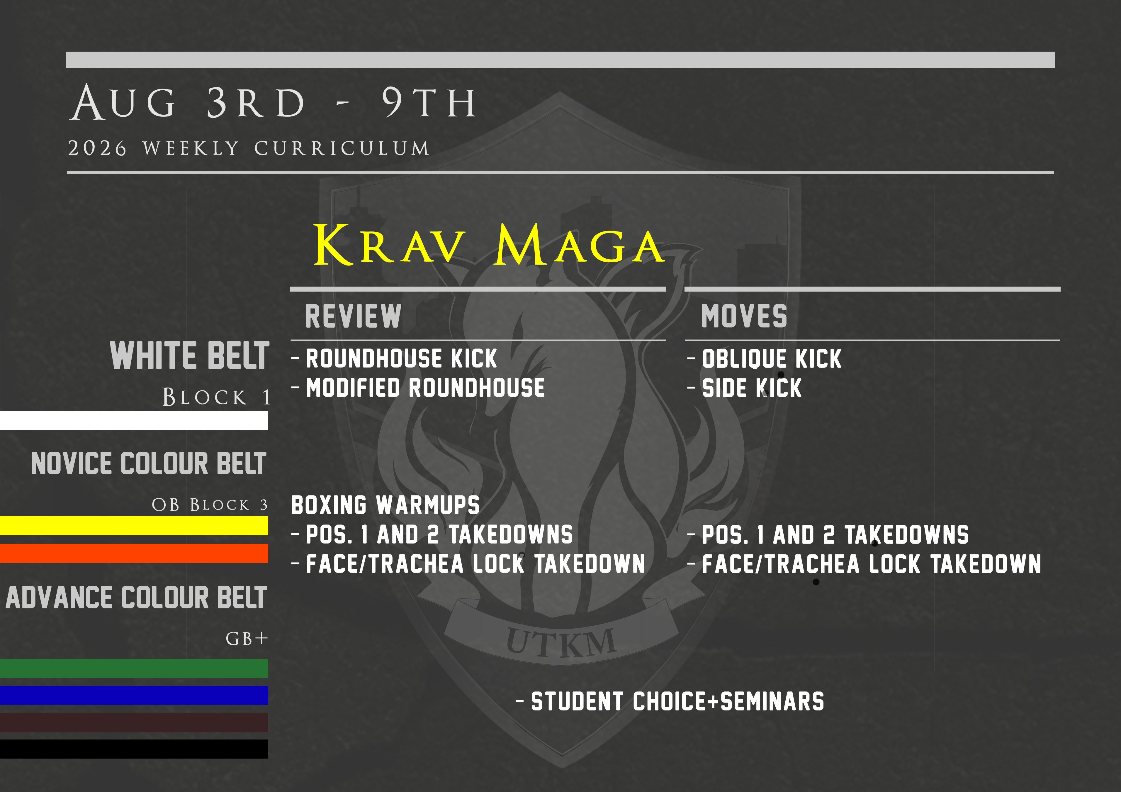 This week’s Krav Maga curriculum: Aug 3rd – 9th