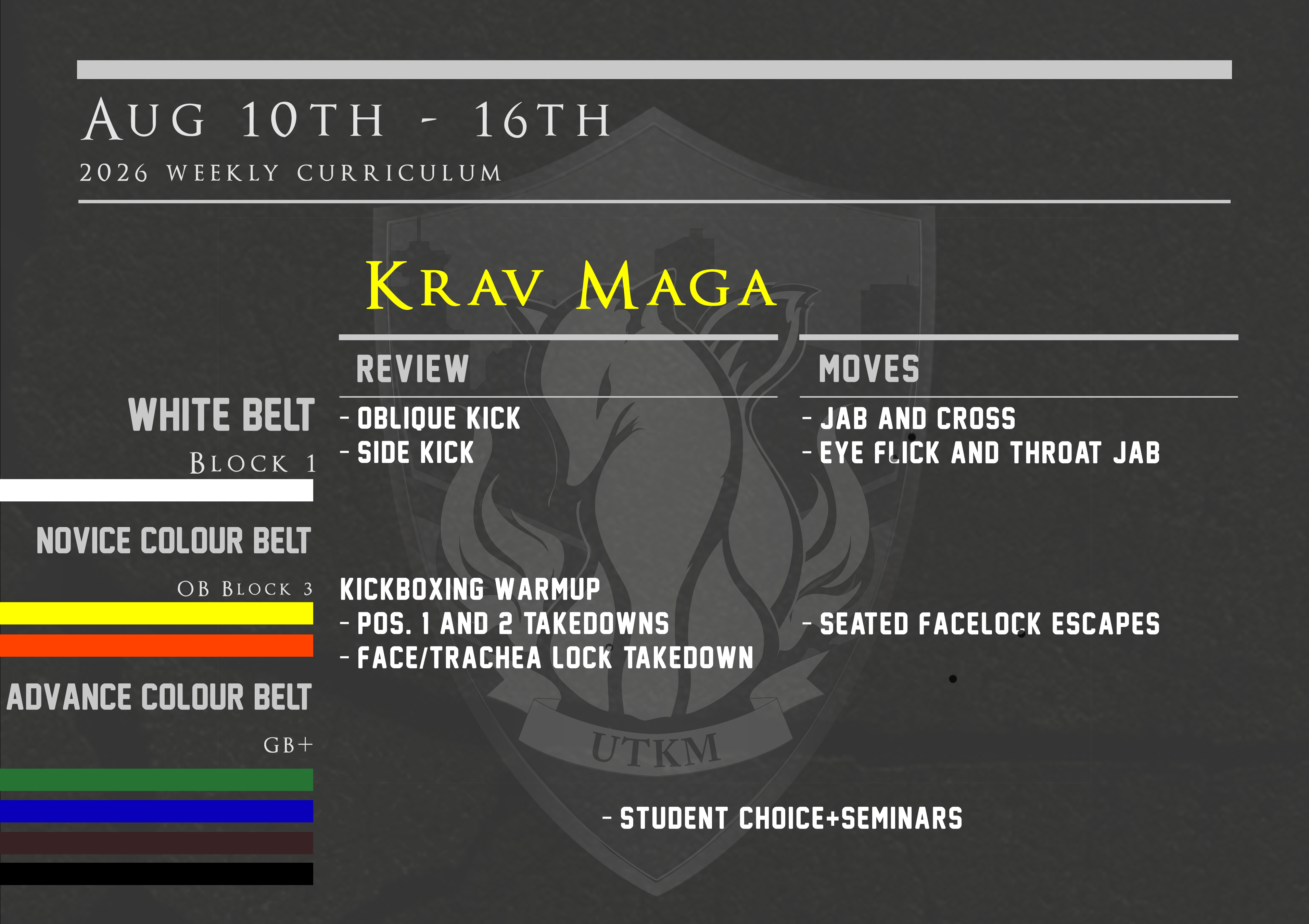 This week’s Krav Maga curriculum: Aug 10th – 16th